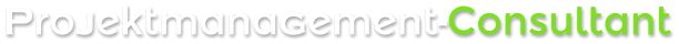 Projektmanagement-Consultant
